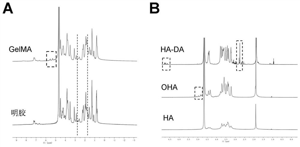 A 3D biomimetic biological scaffold containing stem cell exosomes and its application