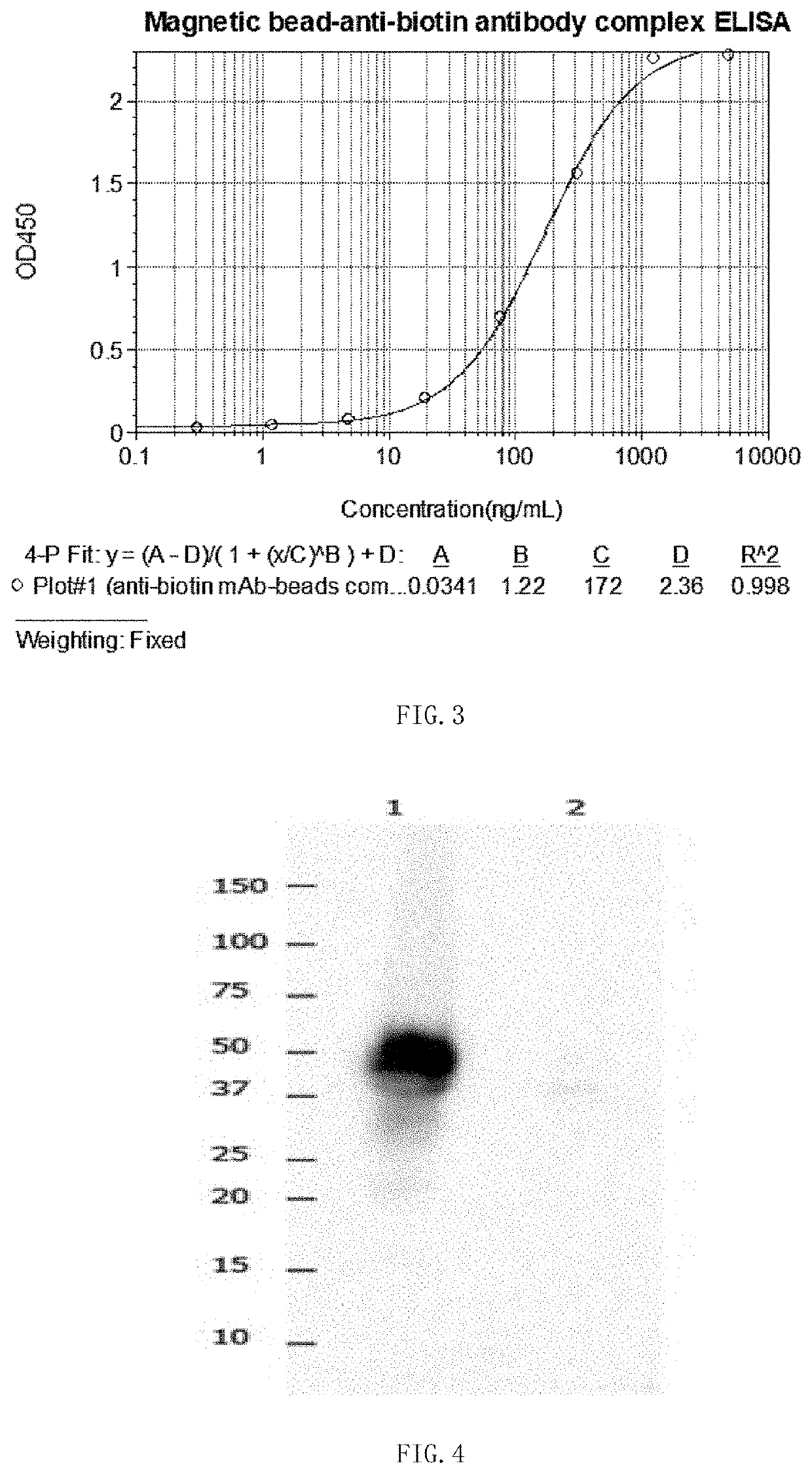 Anti-biotin antibody and application thereof