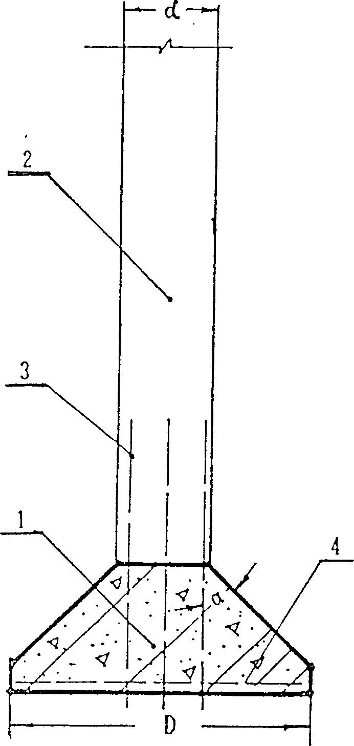 Piling immersed pipe