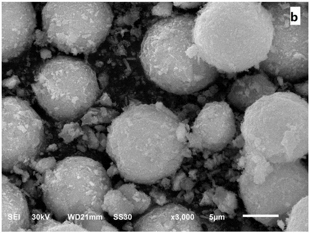 Platinum complex catalyst as well as preparation method and application thereof