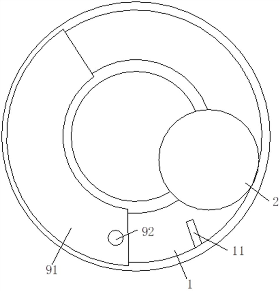 Insect damage protection device for forest region protection and use method