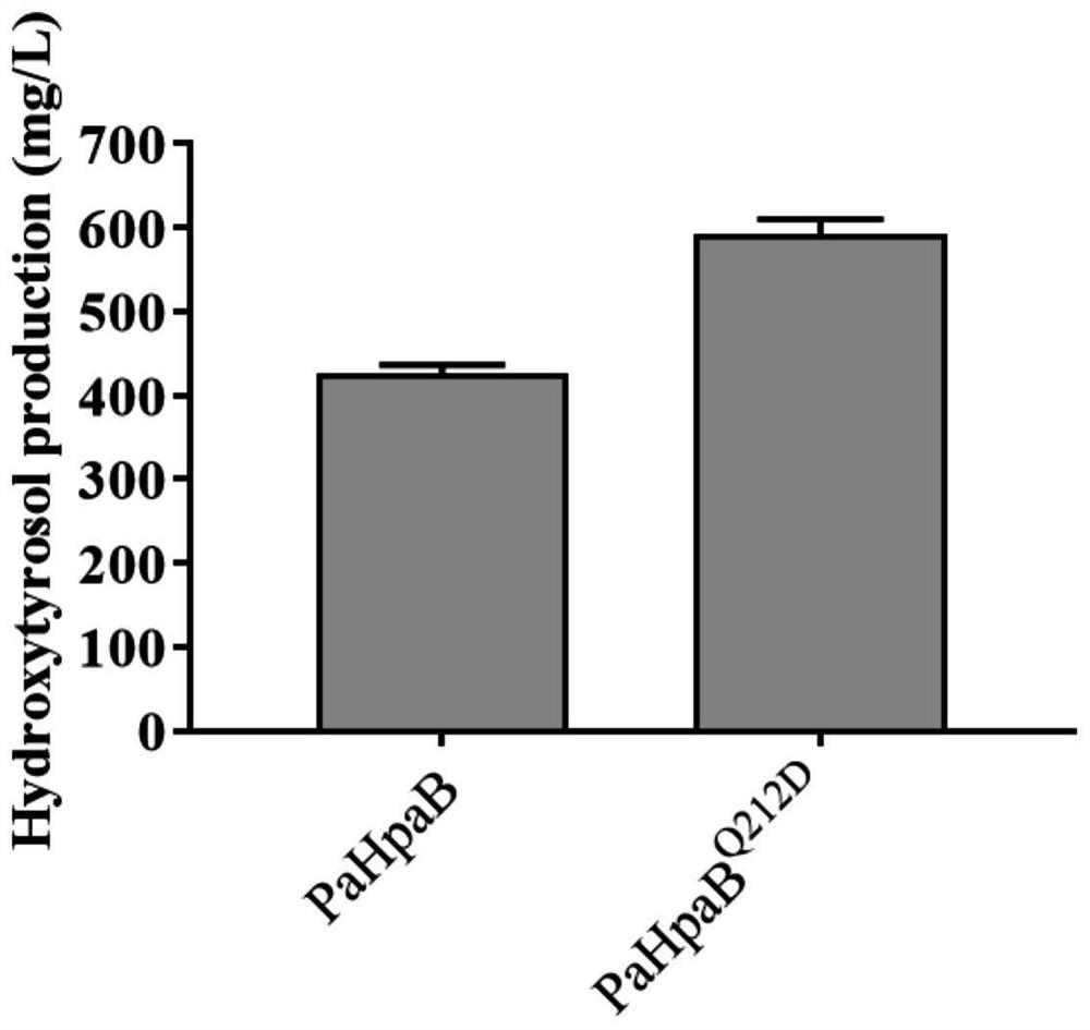 Saccharomyces cerevisiae for high-yield production of hydroxytyrosol and construction method thereof