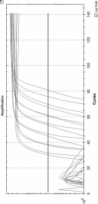 A polymerase mutant and its application