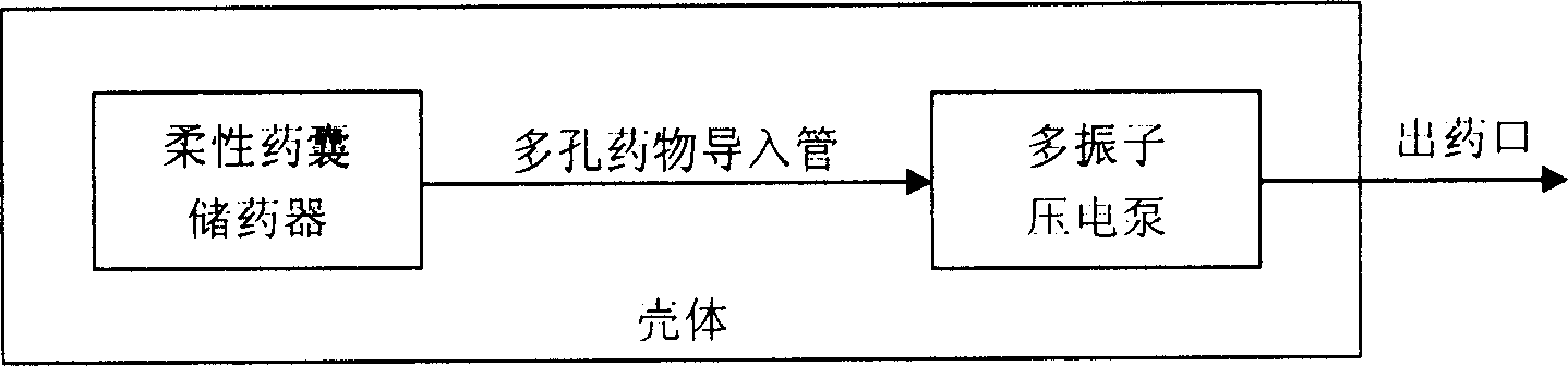 Integrated precise medicine transportation pump