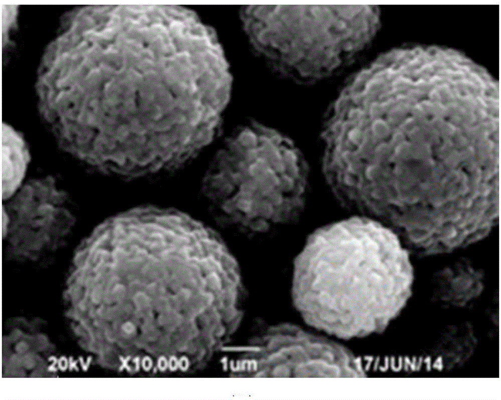 Method for preparing negative electrode material lithium titanate of lithium battery through spray freeze drying