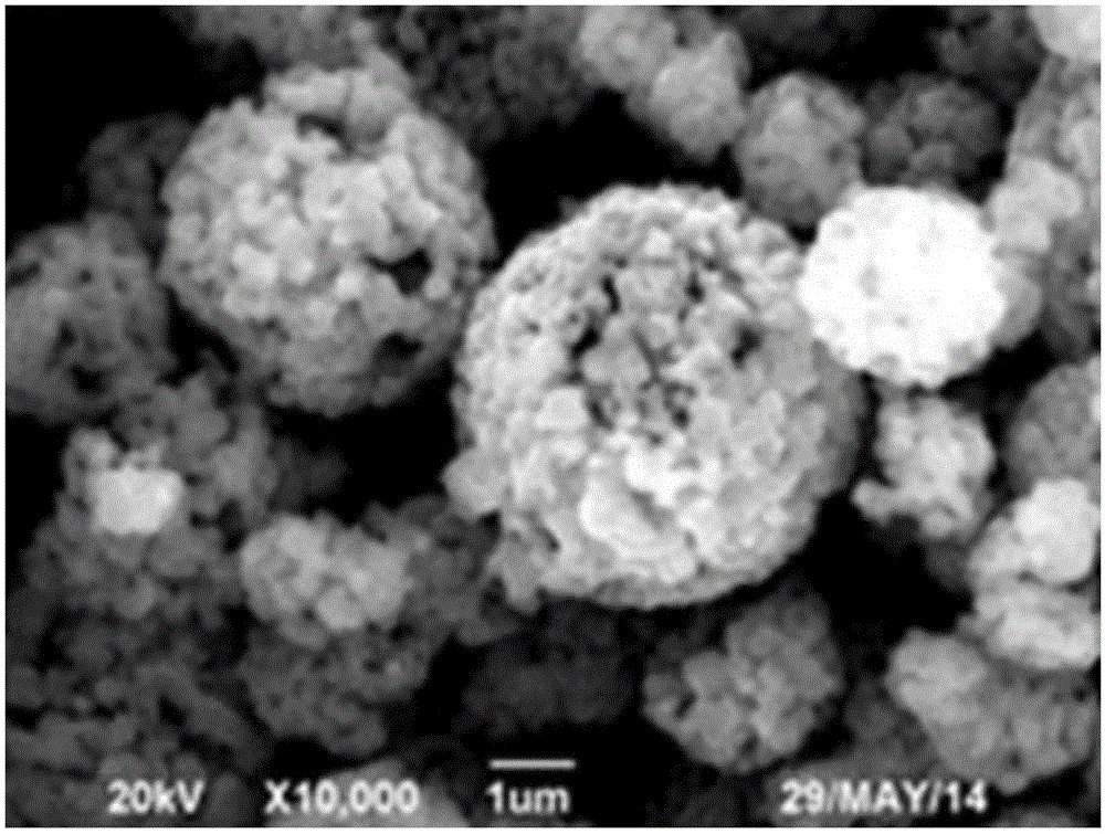 Method for preparing negative electrode material lithium titanate of lithium battery through spray freeze drying