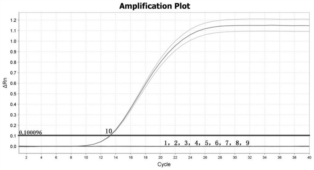 TaqMan real-time fluorescent quantitative RT-PCR kit and method for detecting double RNA viruses of micropterus salmoides