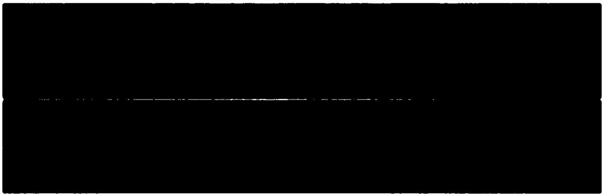 Gold nanoparticle-liposome composite nanoparticles, pharmaceutical composition and applications thereof