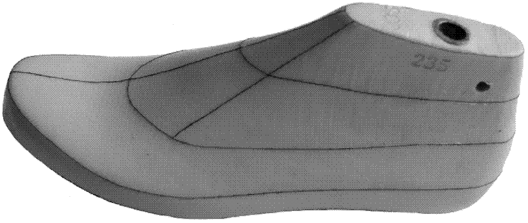 Digital camera-based three-dimensional measurement method of shoe tree and prepared shoe tree