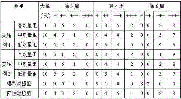 Traditional Chinese medicine composition for treating fractures