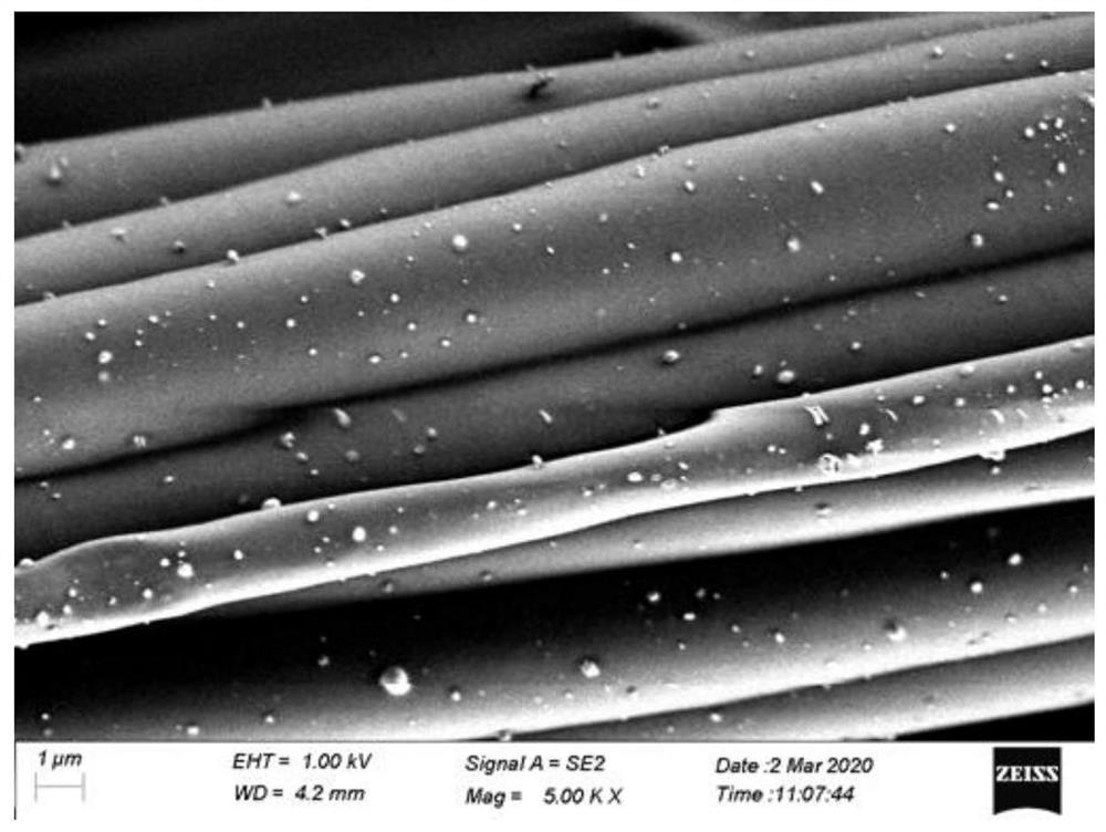 A kind of composite nano-silver antiviral agent and its preparation method and application