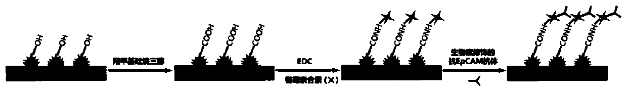 A micro-nano composite structure surface matching the size of circulating tumor cells, its preparation method and its application