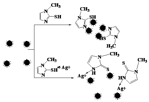 Nanogold colorimetric method based on anti-agglomeration and determination of silver ions