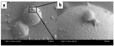 Preparation method of fully biodegradable and biocompatible composite microspheres