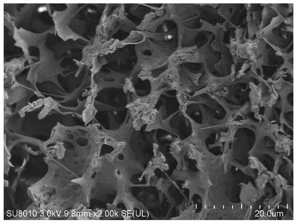 Microbial inoculum for degrading organophosphorus insecticide as well as preparation method and application of microbial inoculum