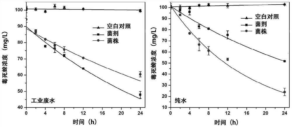 Microbial inoculum for degrading organophosphorus insecticide as well as preparation method and application of microbial inoculum