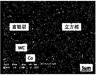 Ultra-fine crystal gradient alloy with rich-cobalt surface and preparation method thereof