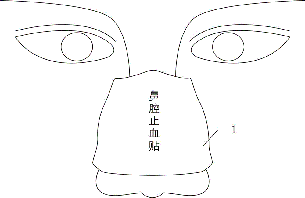 Nasal cavity hemostasis patch