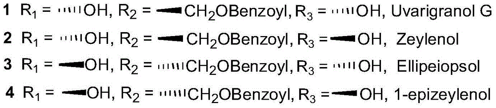Uses of benzoyl polyhydroxy cyclohexene in preparation of drug compositions