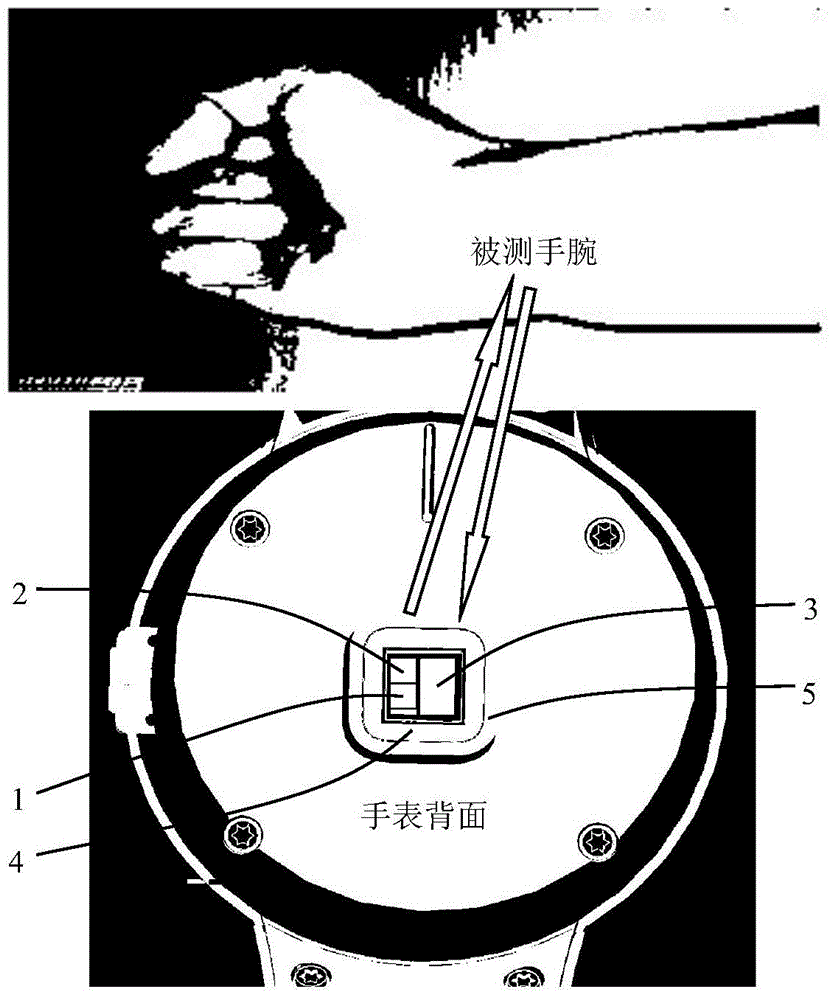 Optical sensing device for heart rate and blood pressure monitor