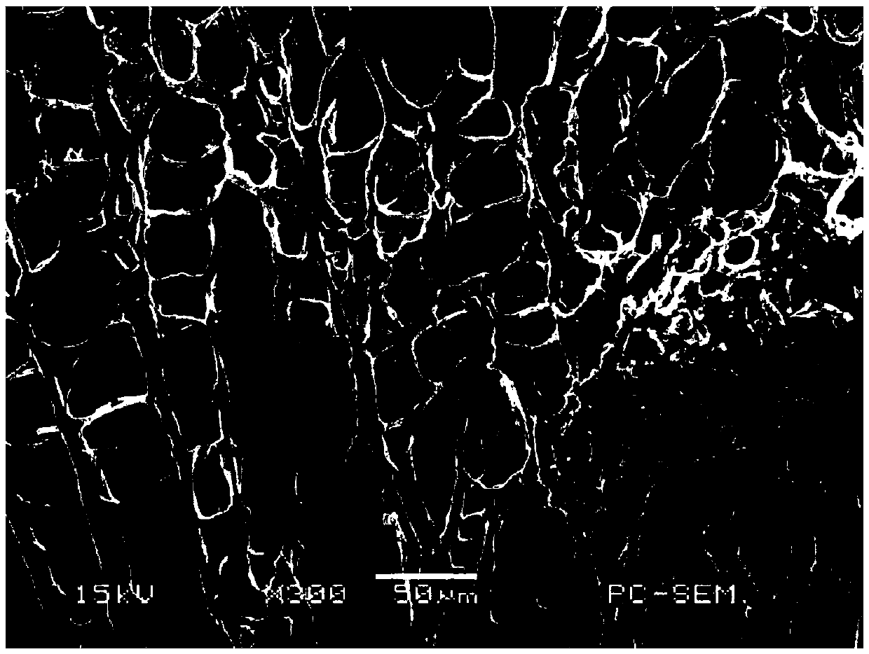 A kind of preparation method of nanocomposite antibacterial dressing