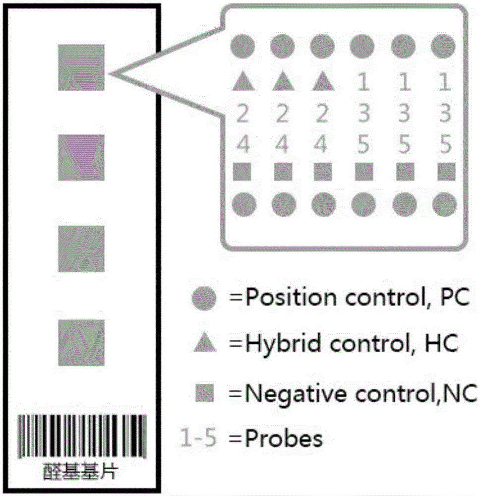 Gene chip and kit used for detecting foot and mouth disease viruses, vesicular stomatitis viruses and swine vesicular disease viruses