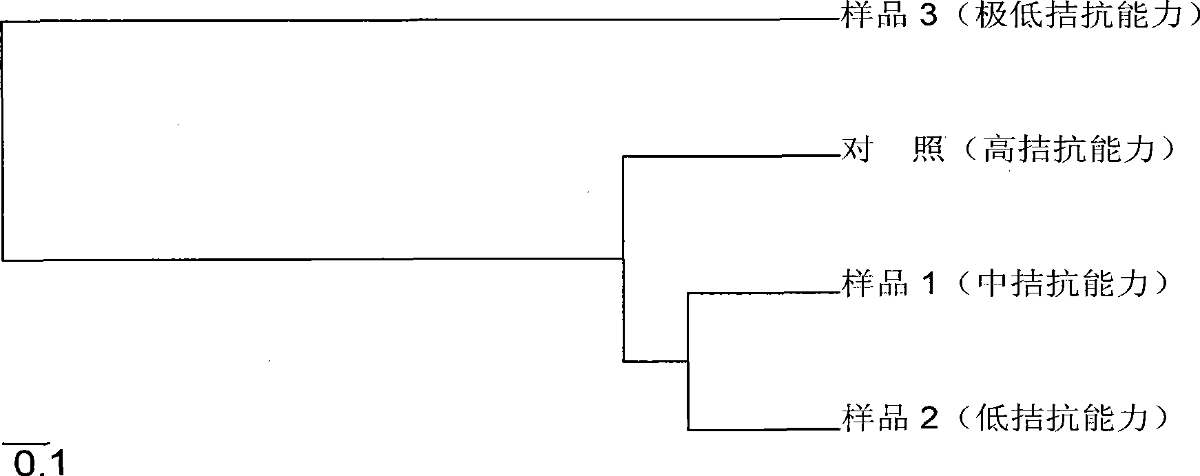 Method for constructing soil fungal antagonism model