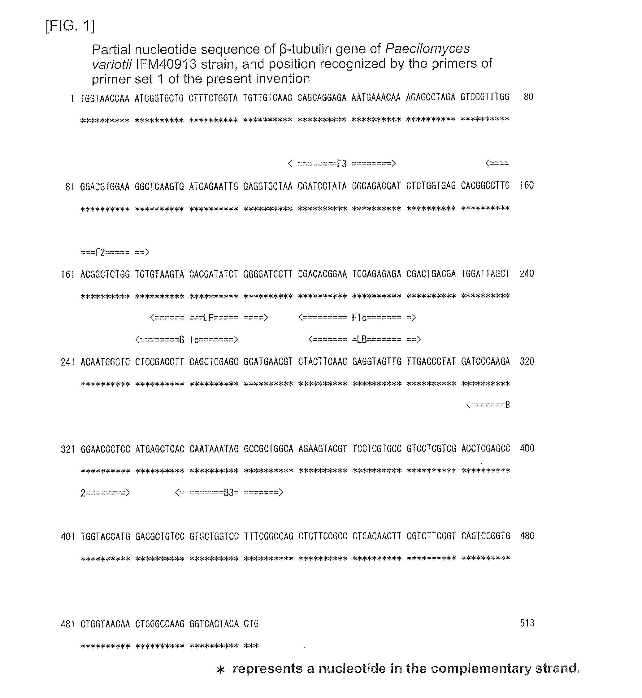 Method for Detection of Paecilomyces Variotii