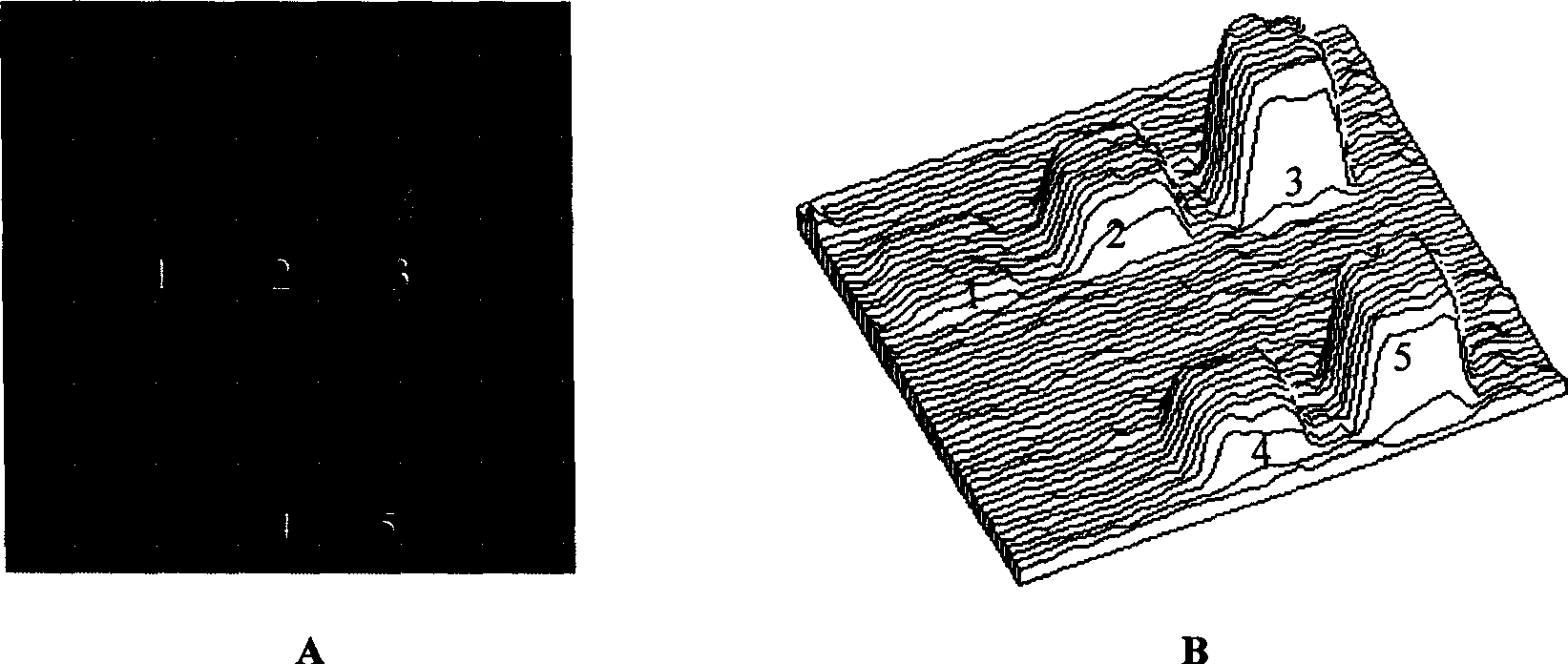 Bilayer lipid membrane surface modified protein chip and its manufacturing method and use