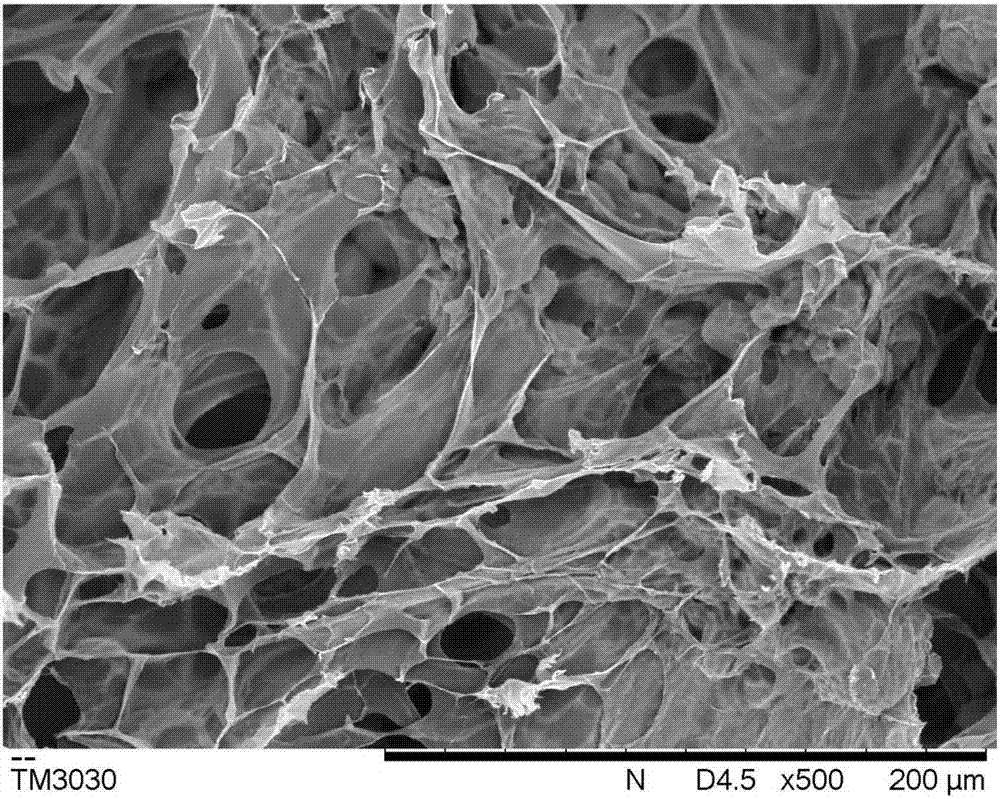 Sanguinarine/gelatin microspheres-loaded composite hydrogel support and preparation method and application thereof