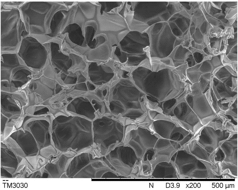 Sanguinarine/gelatin microspheres-loaded composite hydrogel support and preparation method and application thereof