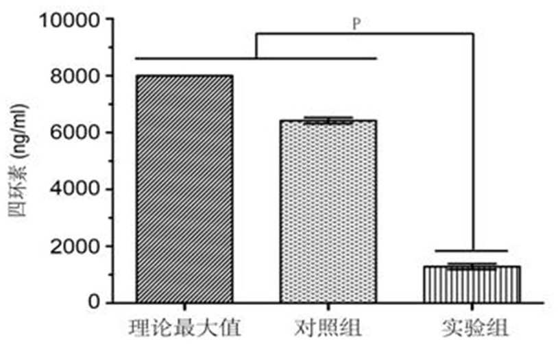 Escherichia coli (escherichia coli) LHM10-1 strain and its application