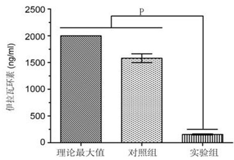 Escherichia coli (escherichia coli) LHM10-1 strain and its application