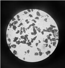 A method of increasing the crystallization density of the perovskite absorber layer of solar cells