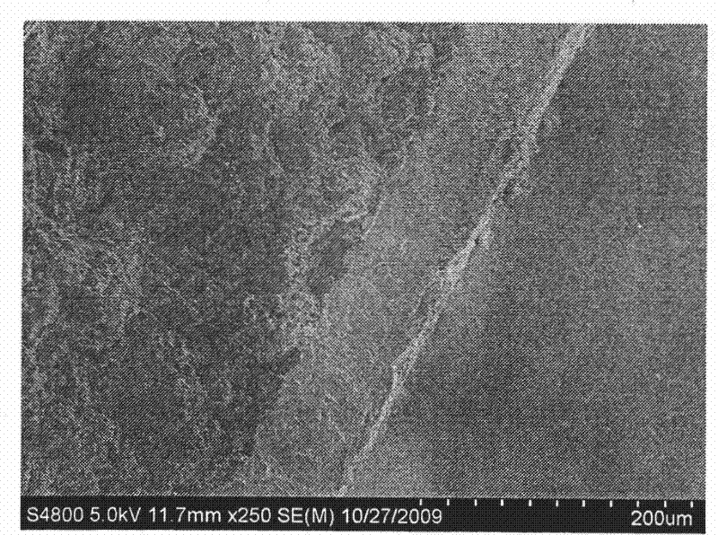 Graphite base with protective coating layer and preparation method thereof