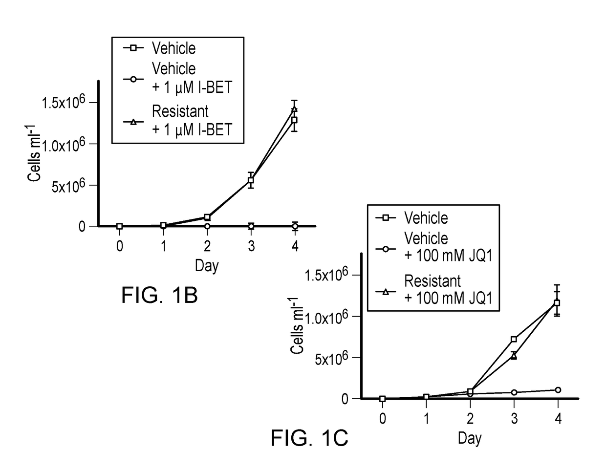 Leukaemia stem cell line, its method of production and uses thereof