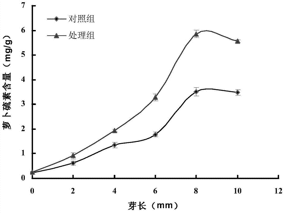 A kind of cultivation method of broccoli sprout rich in sulforaphane