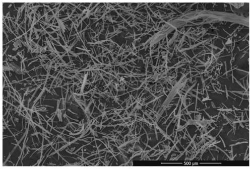 Method for preparing hollow magnesium aluminate spinel ceramic fiber by using reed fibers