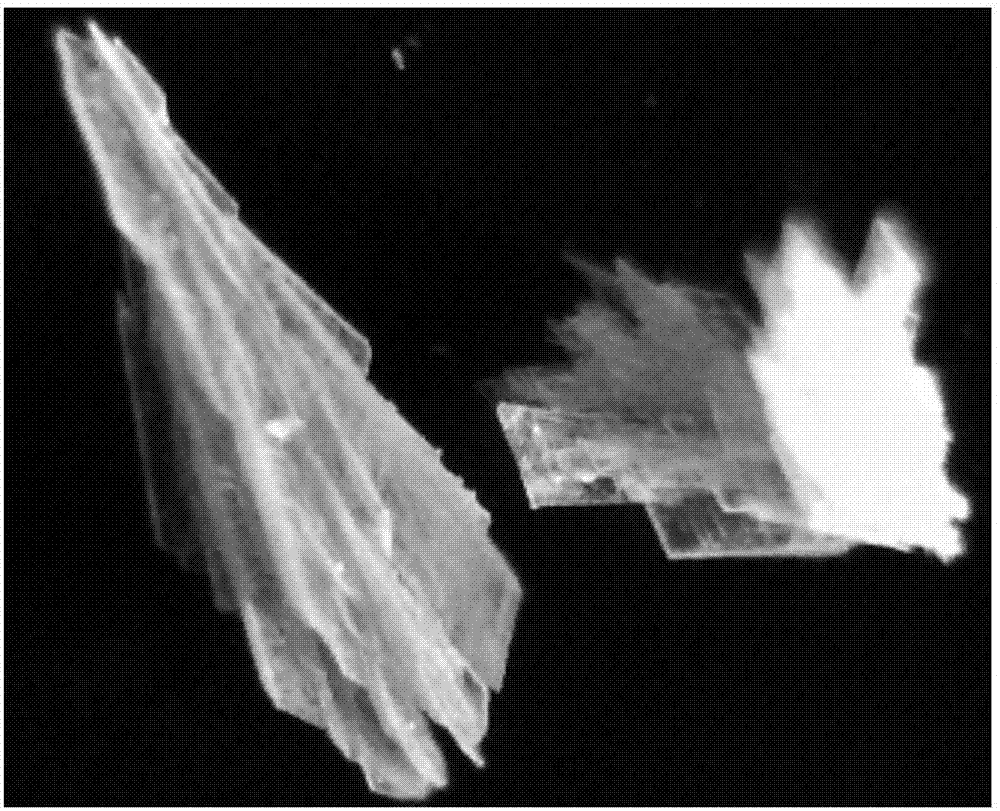 Terpyridine zinc benzoate complex and preparation condition thereof