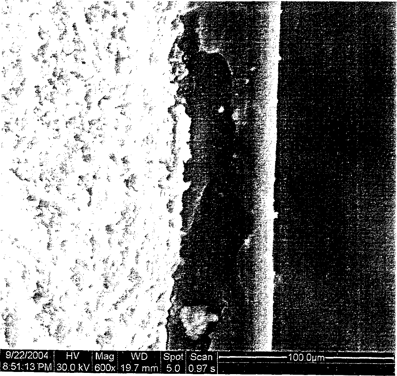 Organic and inorganic composite hydrophobic film and its preparing process