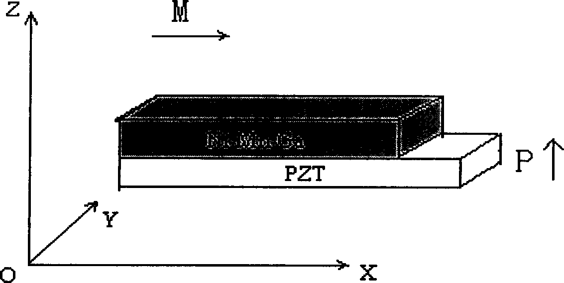 Composite material with tremendous electromagnetic coupling effect and its application