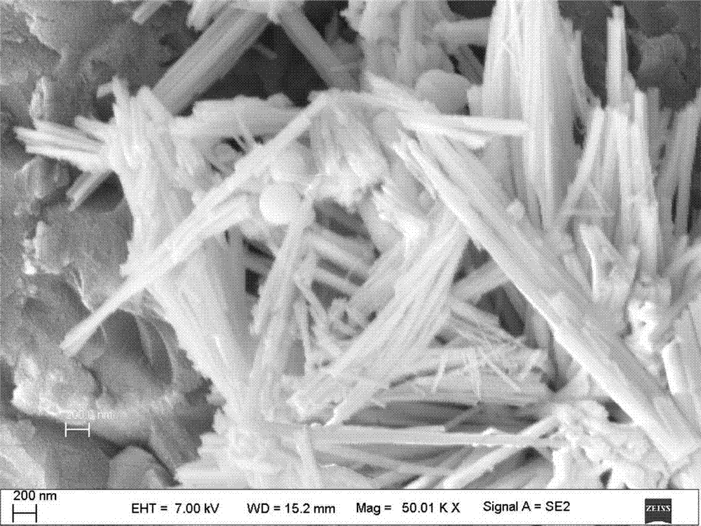 A method of co3o4 nanowire doping sn