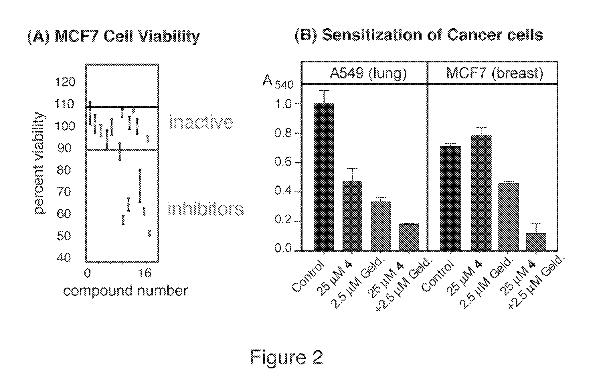 Methods and reagents for activating heat shock protein 70