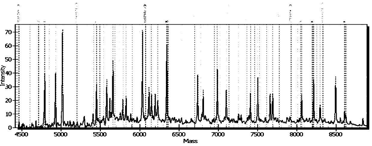 Method for individual medication of valsartan through detection product