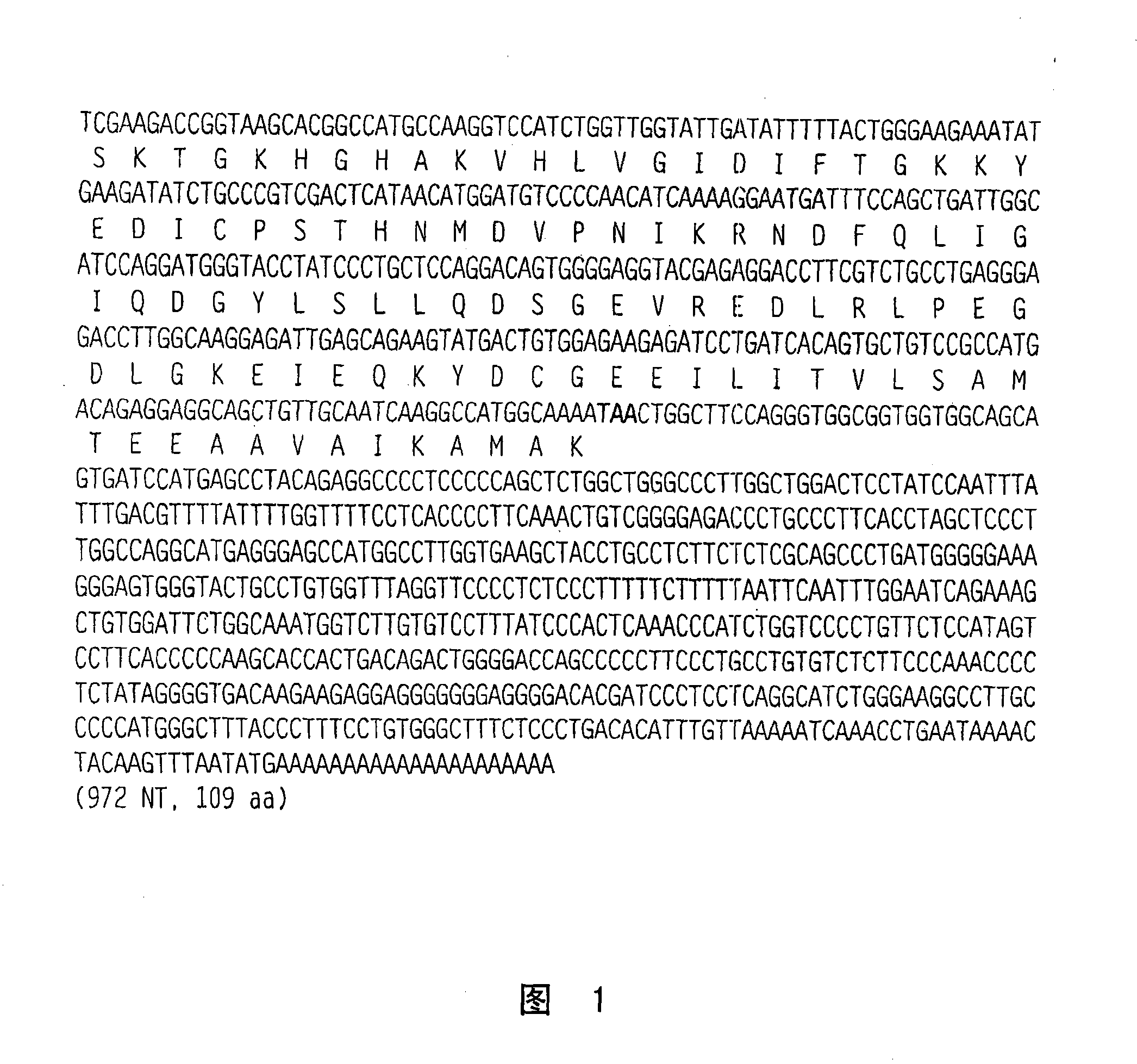 Nucleic acids, polypeptides, and methods for modulating apoptosis