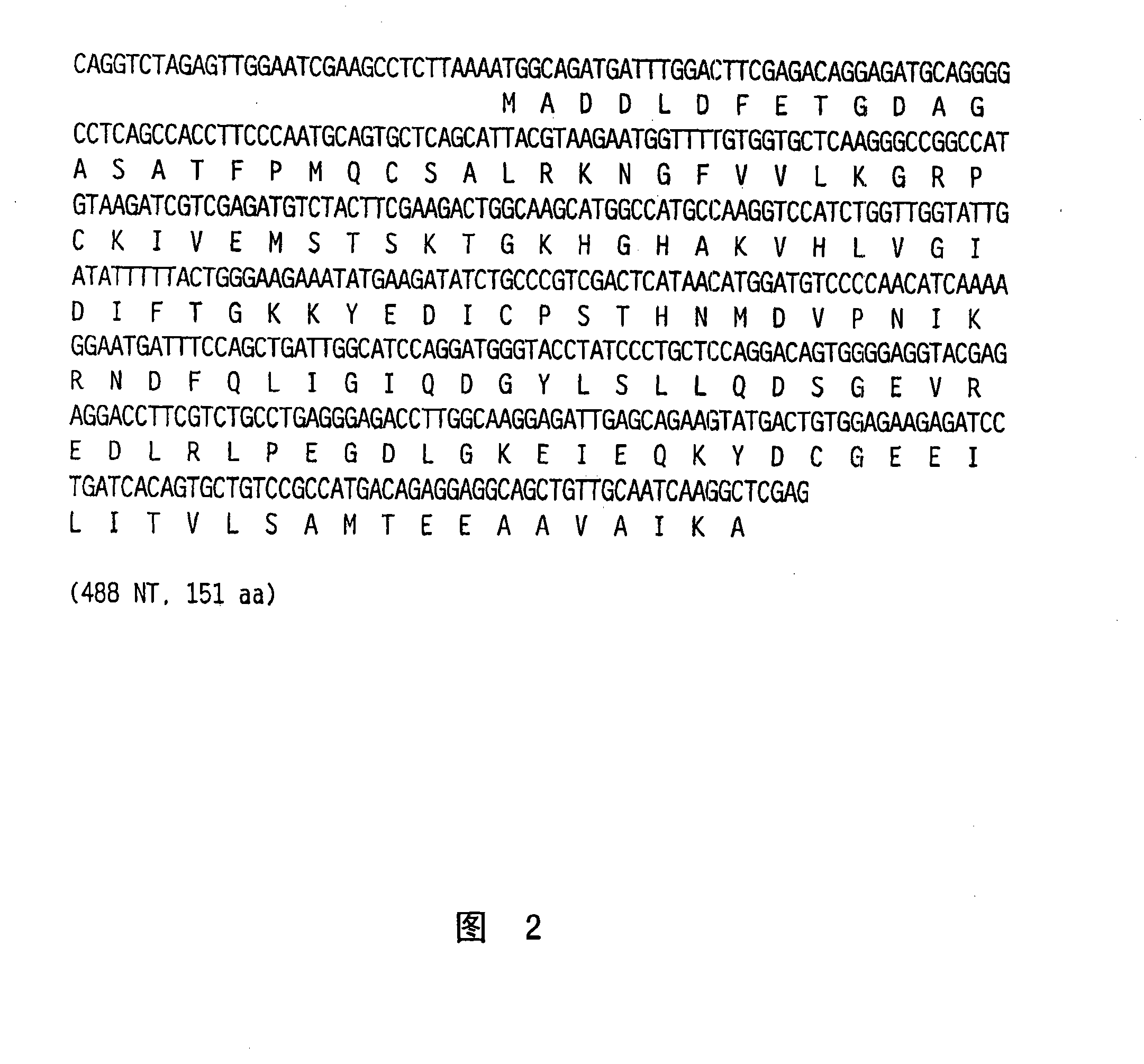 Nucleic acids, polypeptides, and methods for modulating apoptosis