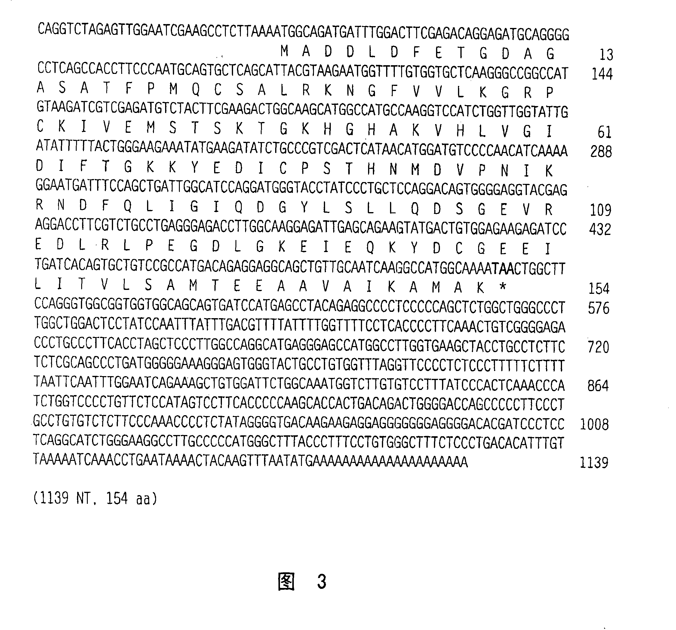 Nucleic acids, polypeptides, and methods for modulating apoptosis