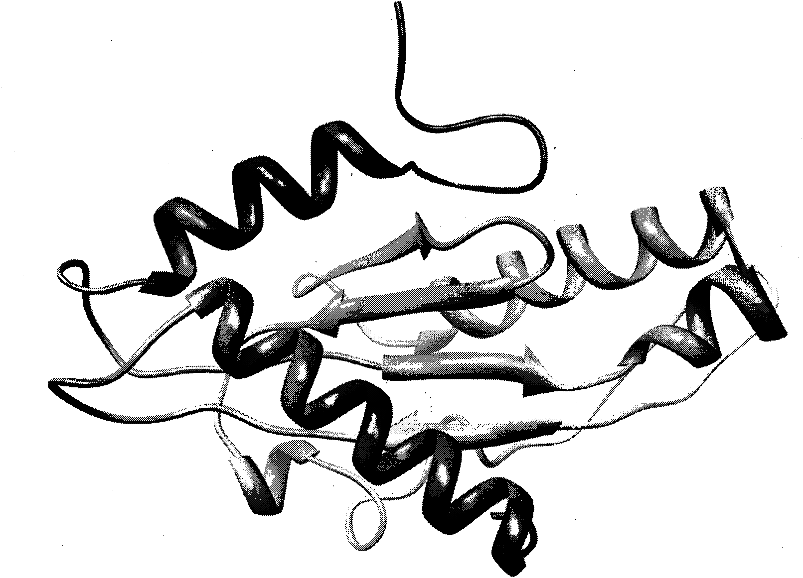 Application of mycobacterium tuberculosis Rv1354c gene as medicament target