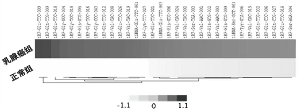 Serum exosome tsRNA marker related to breast cancer diagnosis and application thereof