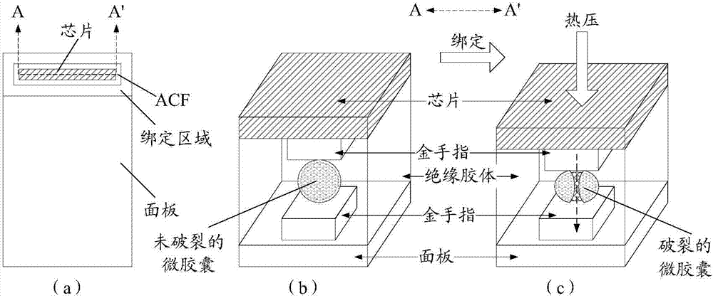 Anisotropic conductive adhesive tape and adhesive tape roll, binding structure and display apparatus